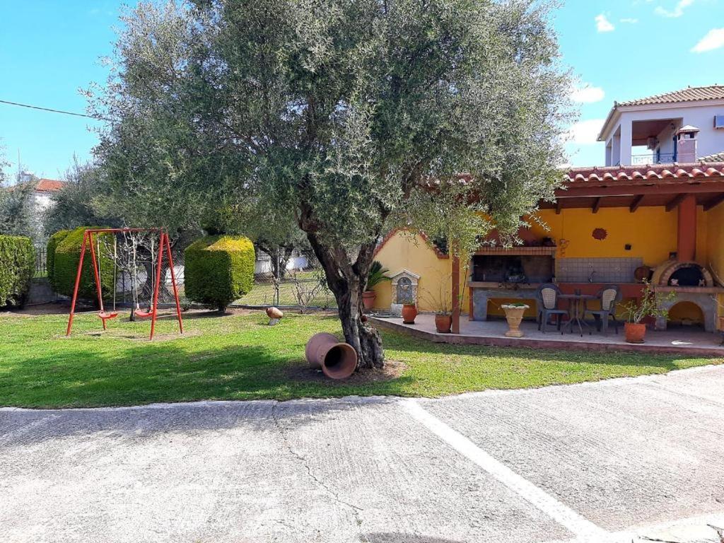 Vasiliki'S House Zacharo , 27054 , Ilias Διαμέρισμα Εξωτερικό φωτογραφία