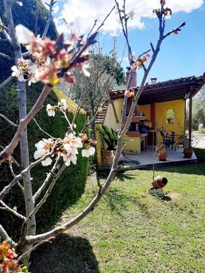 Vasiliki'S House Zacharo , 27054 , Ilias Διαμέρισμα Εξωτερικό φωτογραφία